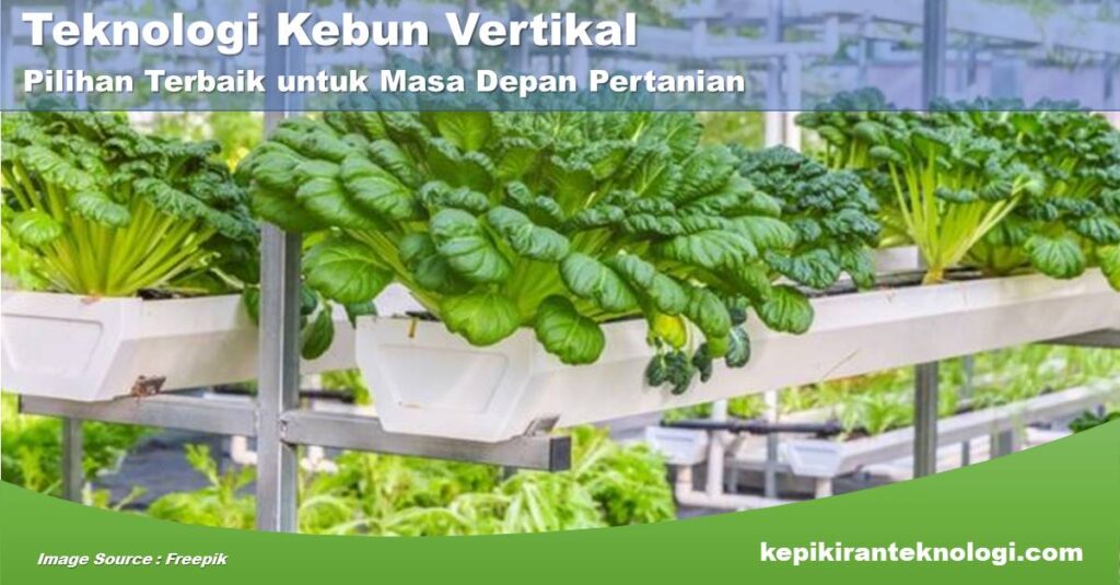 Mengapa Teknologi Kebun Vertikal Adalah Pilihan Terbaik untuk Masa Depan Pertanian?