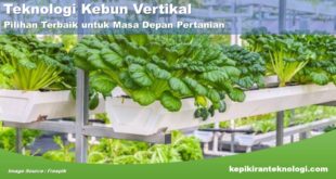 Mengapa Teknologi Kebun Vertikal Adalah Pilihan Terbaik untuk Masa Depan Pertanian?