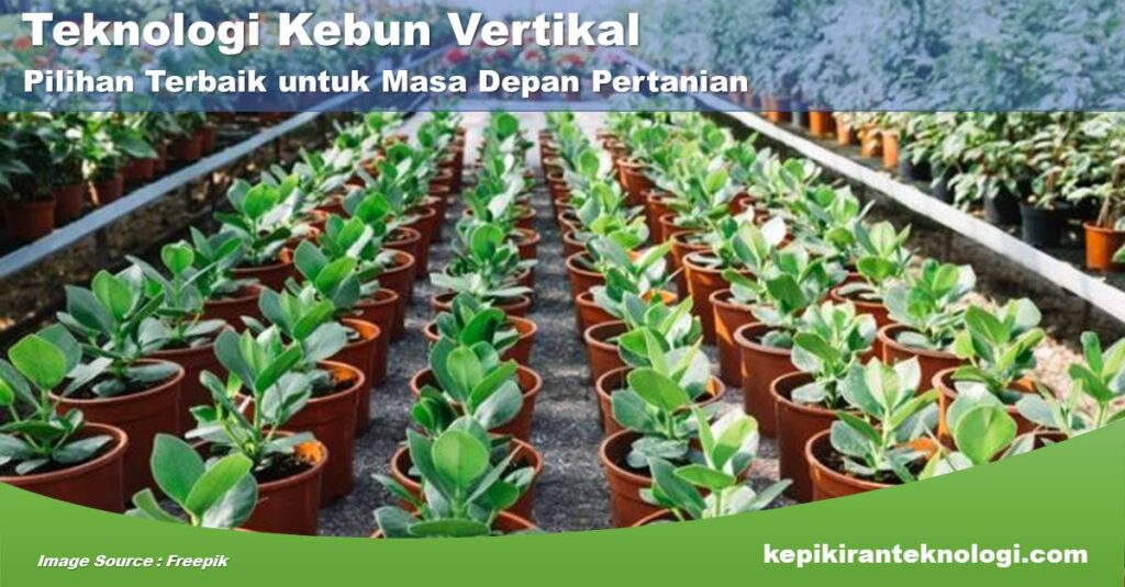 Mengapa Teknologi Kebun Vertikal Adalah Pilihan Terbaik untuk Masa Depan Pertanian?