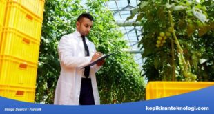 Solusi Cerdas untuk Meningkatkan Produktivitas Pertanian